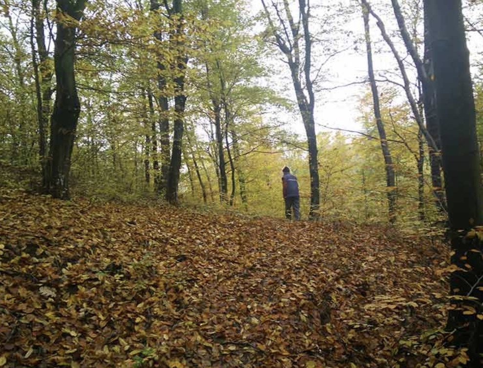 Жир - заборављено благо